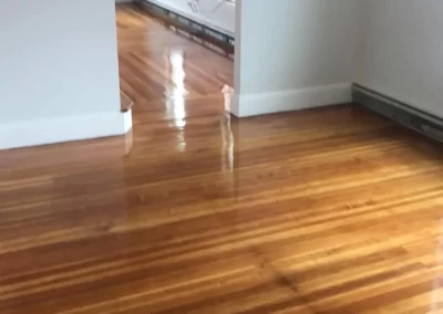Hardwood Floor Refinishing